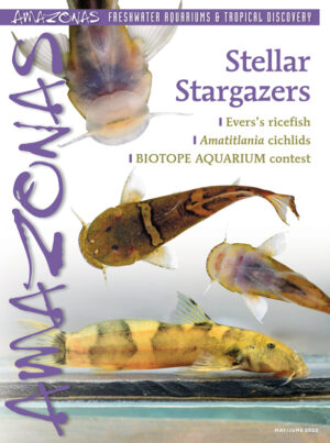 AMAZONAS May/Jun 2022: Stellar Stargazers