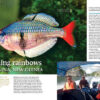AMAZONAS Jul/Aug 2022: Rainbowfishes - Image 3