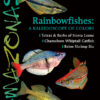 AMAZONAS Jul/Aug 2022: Rainbowfishes