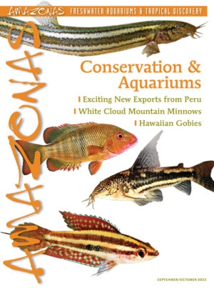AMAZONAS Sep/Oct 2022: Conservation & Aquariums
