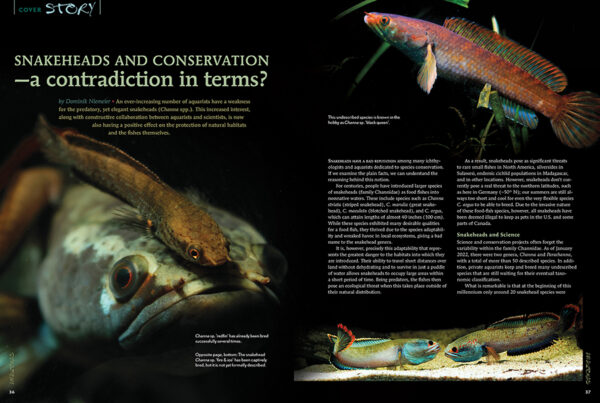 AMAZONAS Sep/Oct 2022: Conservation & Aquariums - Image 3