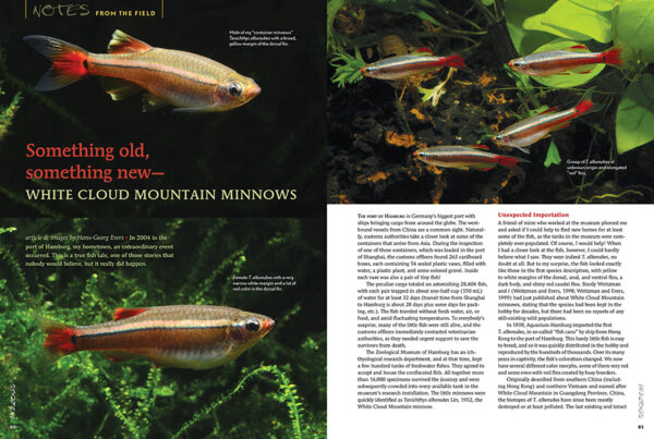 AMAZONAS Sep/Oct 2022: Conservation & Aquariums - Image 5