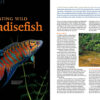 AMAZONAS Nov/Dec 2022: A Slice of Paradise - Image 2