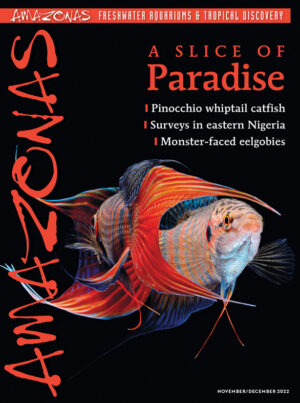 AMAZONAS Nov/Dec 2022: A Slice of Paradise