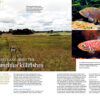 AMAZONAS Jan/Feb 2023: Killifish Craze - Image 3