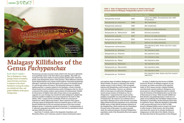 AMAZONAS Jan/Feb 2023: Killifish Craze - Image 4