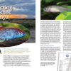 AMAZONAS Jan/Feb 2023: Killifish Craze - Image 5