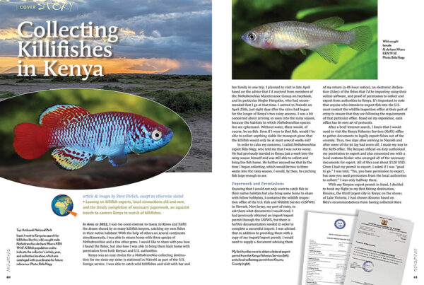 AMAZONAS Jan/Feb 2023: Killifish Craze - Image 5