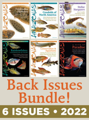 AMAZONAS 2022: Back Issue 6-Pack