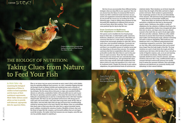 AMAZONAS May/Jun 2023: Bon Appétit - Image 2
