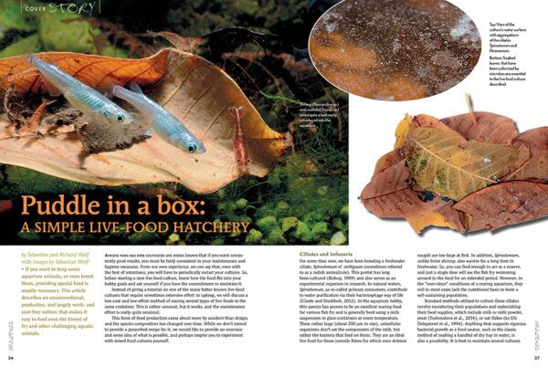 AMAZONAS May/Jun 2023: Bon Appétit - Image 3