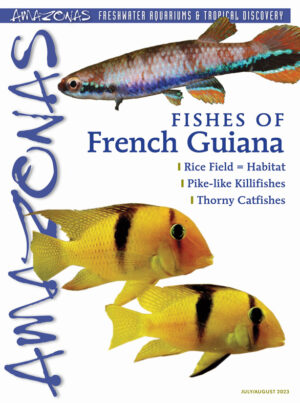 AMAZONAS Jul/Aug 2023: Fishes of French Guiana