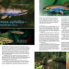 AMAZONAS Jul/Aug 2023: Fishes of French Guiana - Image 2