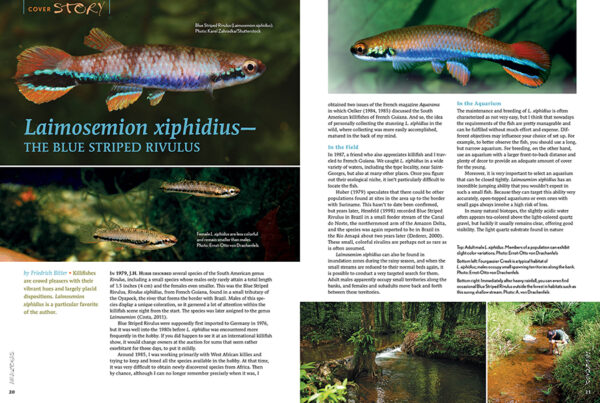 AMAZONAS Jul/Aug 2023: Fishes of French Guiana - Image 2