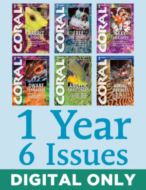 CORAL Magazine Subscription (Digital Only, 1-Year)