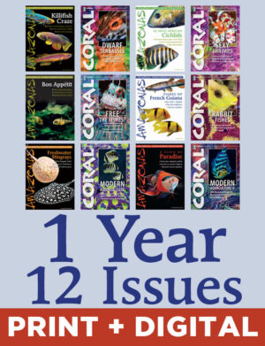 AMAZONAS & CORAL Magazine Subscription Bundle (Print + Digital, 1-Year)