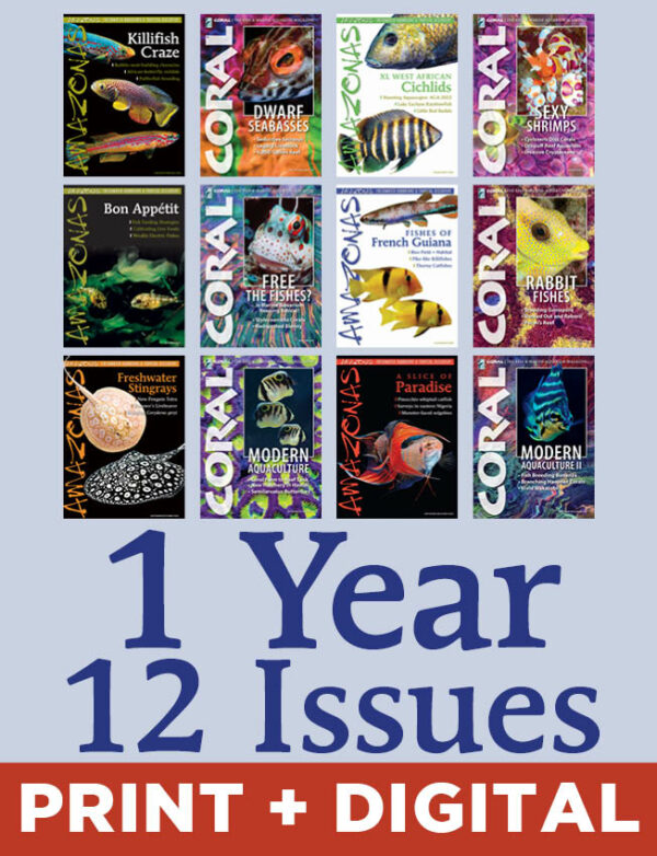 AMAZONAS & CORAL Magazine Subscription Bundle (Print + Digital, 1-Year)