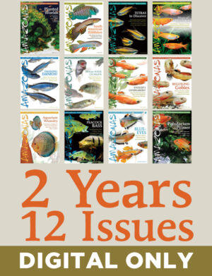 AMAZONAS Magazine Subscription (Digital Only, 2-Year)
