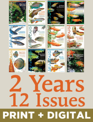 AMAZONAS Magazine Subscription (Print + Digital, 2-Year)