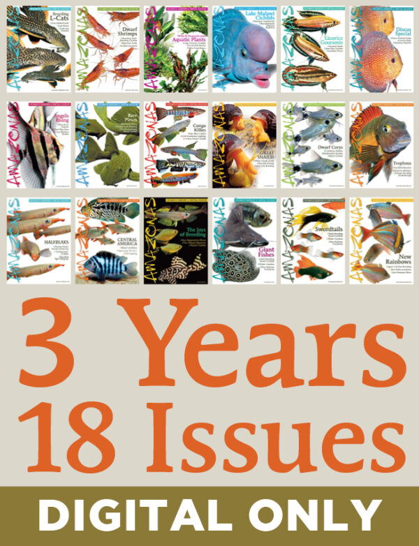 AMAZONAS Magazine Subscription (Digital Only, 3-Year)