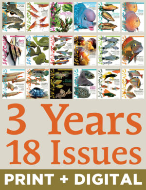 AMAZONAS Magazine Subscription (Print + Digital, 3-Year)