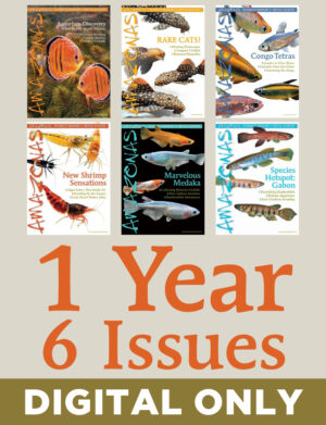 AMAZONAS Magazine Subscription (Digital Only, 1-Year)