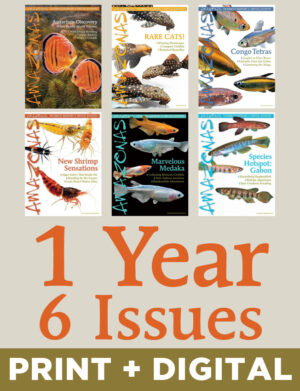 AMAZONAS Magazine Subscriptions
