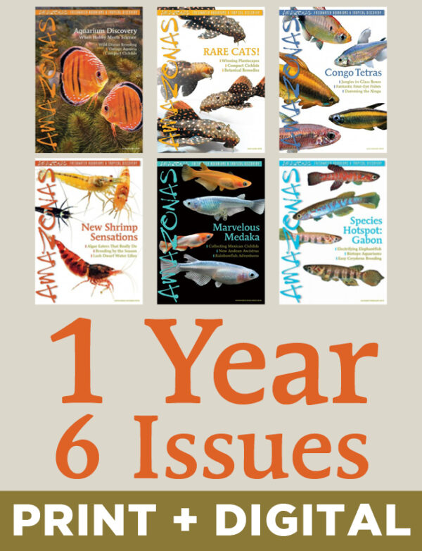 AMAZONAS Magazine Subscription (Print + Digital, 1-Year)