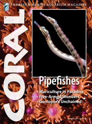 CORAL May/Jun 2011: Pipefishes
