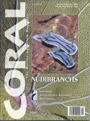 CORAL Oct/Nov 2004: Nudibranchs