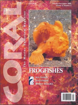 CORAL Oct/Nov 2006: Frogfishes