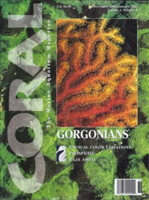 CORAL Dec/Jan 2007: Gorgonians