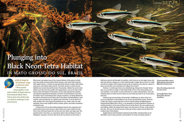 AMAZONAS Jan/Feb 2024: Expedition Fish - Image 7