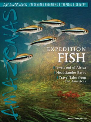 AMAZONAS Jan/Feb 2024: Expedition Fish