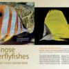 CORAL Jan/Feb 2024: Pincerfish - Image 3