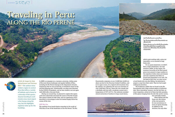 AMAZONAS Jan/Feb 2024: Expedition Fish - Image 4
