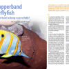 CORAL Jan/Feb 2024: Pincerfish - Image 4