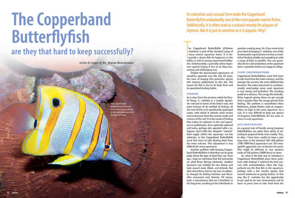 CORAL Jan/Feb 2024: Pincerfish - Image 4