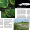 AMAZONAS Nov/Dec 2023: SMALL AND MIGHTY: the Amatitlania cichlids - Image 5