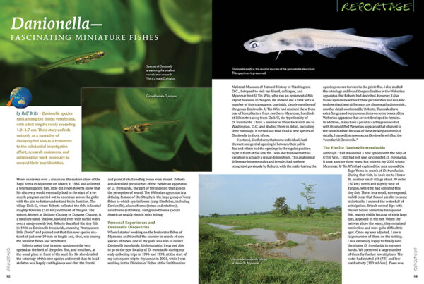 AMAZONAS Nov/Dec 2023: SMALL AND MIGHTY: the Amatitlania cichlids - Image 5