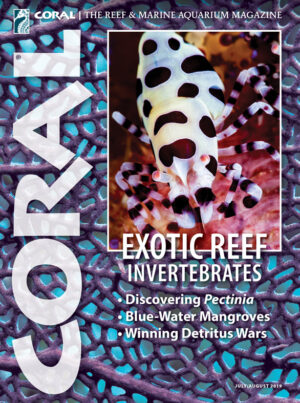 CORAL Jul/Aug 2019: Exotic Reef Invertebrates