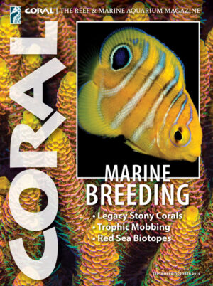 CORAL Sep/Oct 2019: Marine Breeding