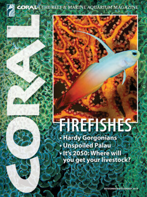 CORAL Nov/Dec 2019: Firefishes