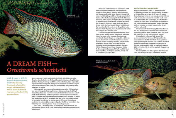 AMAZONAS Jan/Feb 2024: Expedition Fish - Image 3