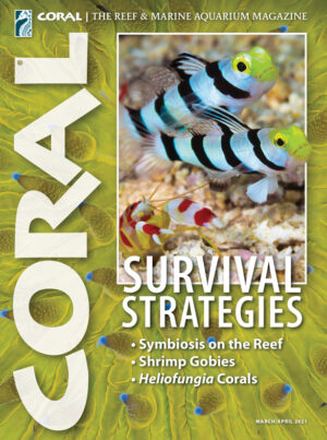 CORAL Mar/Apr 2021: Survival Strategies