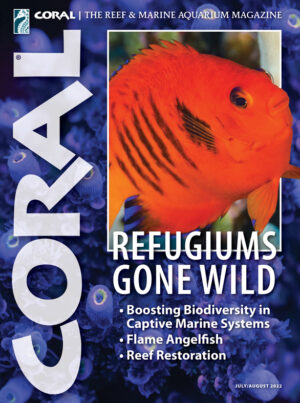 CORAL Jul/Aug 2022: Refugiums Gone Wild