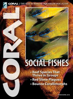 CORAL Mar/Apr 2016: Social Fishes