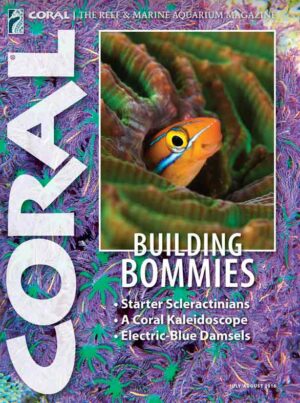 CORAL Jul/Aug 2016: Building Bommies
