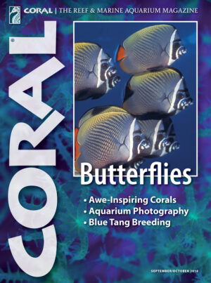 CORAL Sep/Oct 2016: Butterflies