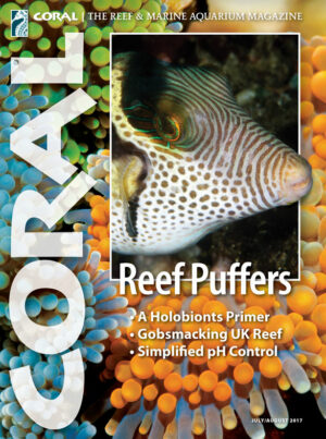 CORAL Jul/Aug 2017: Reef Puffers